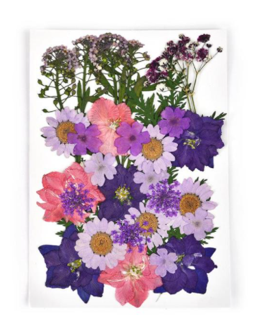 60111410 Flores secas – flores color lila y rosa – Happy Hobby Scrap 60111410 Flores secas – flores color lila y rosa – Happy Hobby Scrap
