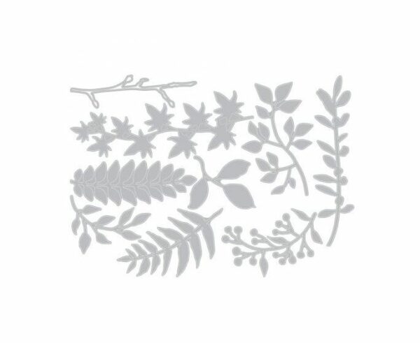 TROQUEL DELGADO HOJAS JARDIN SIZZIX TIM HOLTZ 9 PIEZAS | 661206 - Image 2